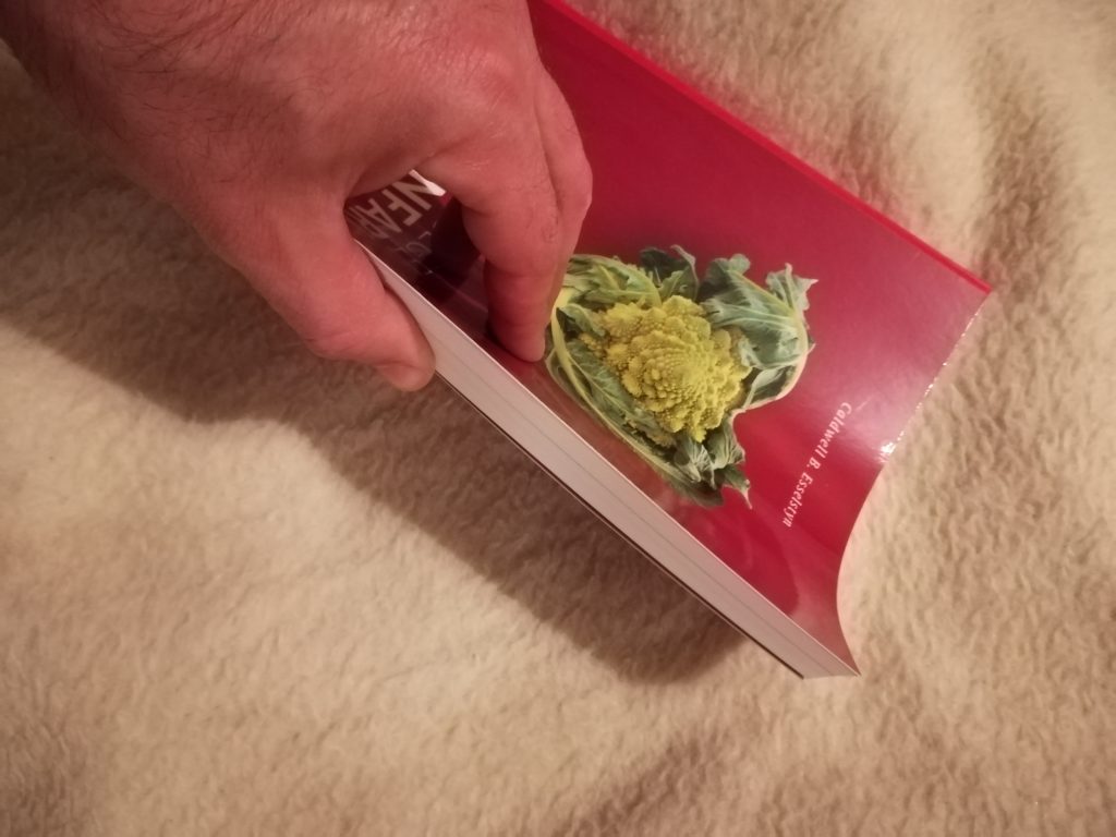 Buchvorstellung